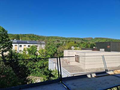 Wohnung kaufen in 1130 Wien