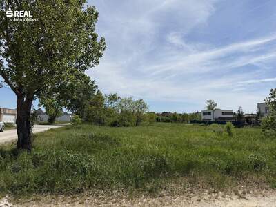 Anlageobjekt kaufen in 7100 Neusiedl