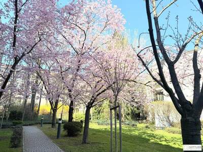 Wohnung mieten in 1190 Wien