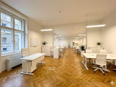 Gewerbeobjekt mieten in 1010 Wien (Bild 3)