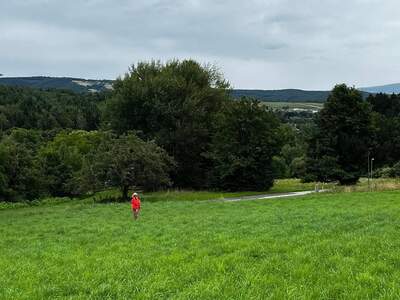 Grundstück provisionsfrei kaufen in 7423 Pinkafeld