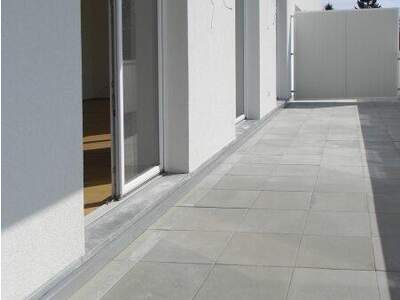 Terrassenwohnung mieten in 1220 Wien (Bild 4)