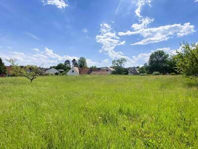 Anlageobjekt kaufen in 8230 Hartberg