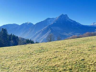 Gewerbeobjekt kaufen in 8921 Landl