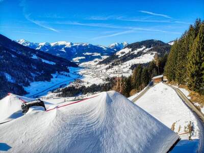 Wohnung mieten in 6314 Niederau