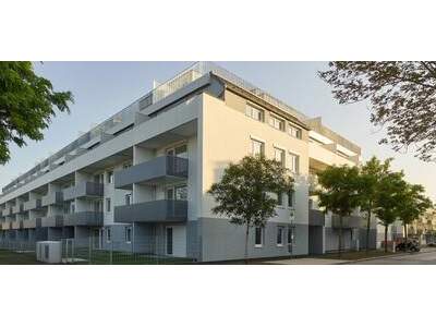 Wohnung mieten in 2700 Wiener Neustadt
