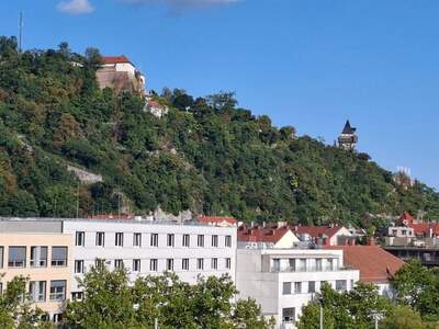 Wohnung kaufen in 8020 Graz (Bild 1)