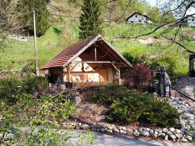 Haus kaufen in 4464 Weyer