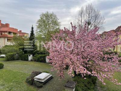 Terrassenwohnung kaufen in 2100 Korneuburg (Bild 1)
