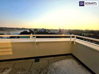 Terrassenwohnung kaufen in 1220 Wien (Bild 3)