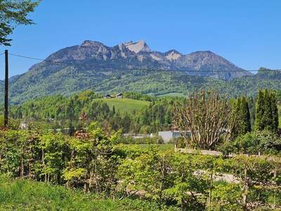 Grundstück kaufen in 4820 Bad Ischl
