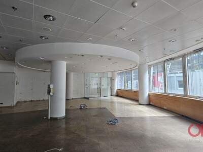 Gewerbeobjekt mieten in 1220 Wien (Bild 4)