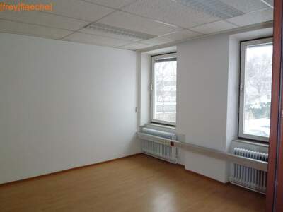 Gewerbeobjekt mieten in 1230 Wien (Bild 2)
