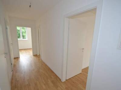 Wohnung mieten in 8020 Graz