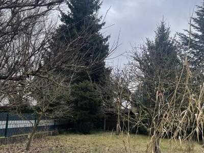 Haus kaufen in 4061 Pasching