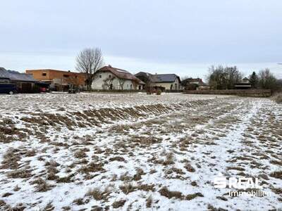 Grundstück kaufen in 4070 Pupping (Bild 4)