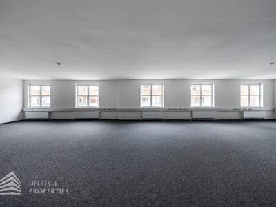 Gewerbeobjekt mieten in 1010 Wien (Bild 5)