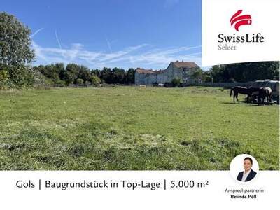 Grundstück kaufen in 7122 Gols