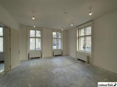 Gewerbeobjekt mieten in 1010 Wien (Bild 5)