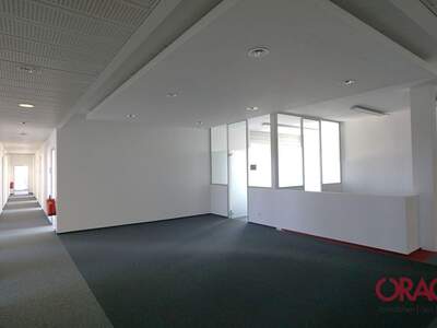 Gewerbeobjekt mieten in 2320 Schwechat (Bild 1)