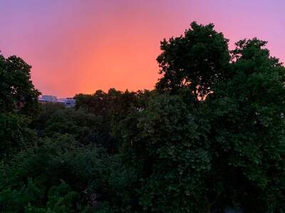 Eigentumswohnung in 1200 Wien (Bild 3)