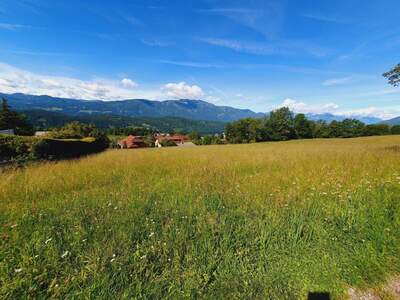 Grundstück kaufen in 9872 Obermillstatt