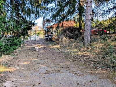 Grundstück kaufen in 3012 Wolfsgraben (Bild 2)