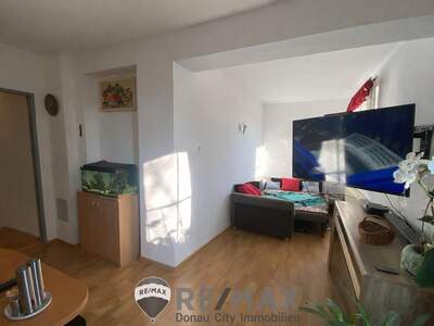 Einfamilienhaus kaufen in 3443 Sieghartskirchen (Bild 3)