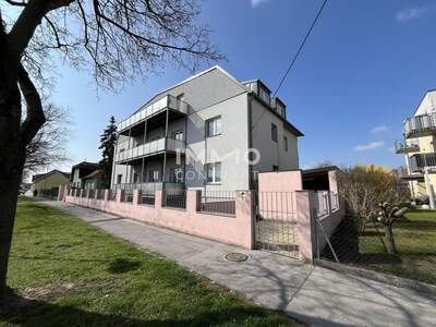 Zinshaus / Renditeobjekt kaufen in 2273 Hohenau