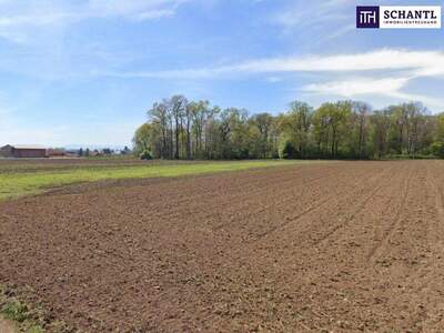 Grundstück kaufen in 8430 Leibnitz (Bild 2)