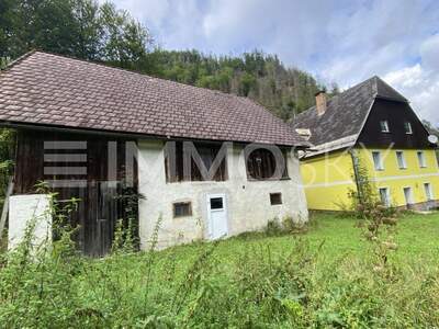 Einfamilienhaus kaufen in 8931 Landl (Bild 1)