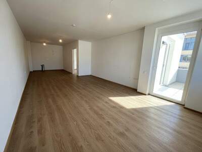 Terrassenwohnung mieten in 2104 Spillern (Bild 3)