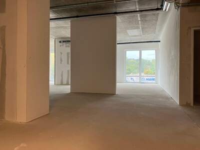 Gewerbeobjekt mieten in 1230 Wien (Bild 5)