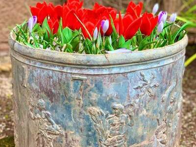 Mietwohnung provisionsfrei in 6134 Vomp