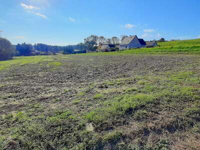 Grundstück kaufen in 8412 Allerheiligen (Bild 1)