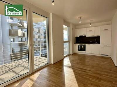 Terrassenwohnung mieten in 1220 Wien (Bild 3)