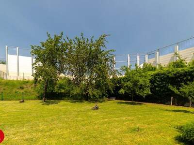 Mehrfamilienhaus kaufen in 2351 Wr. Neudorf (Bild 4)