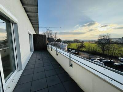 Wohnung mieten in 4063 Hörsching