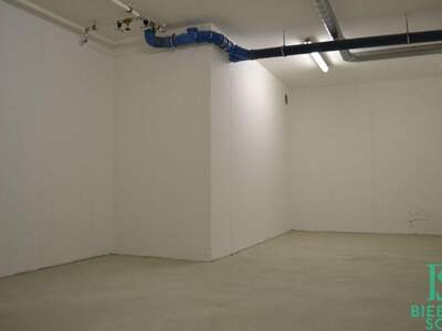 Gewerbeobjekt mieten in 1130 Wien (Bild 1)