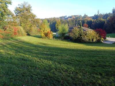 Grundstück kaufen in 4941 Mehrnbach (Bild 5)