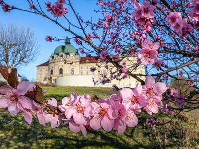 Grundstück kaufen in 3400 Klosterneuburg