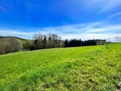 Grundstück kaufen in 8010 Graz