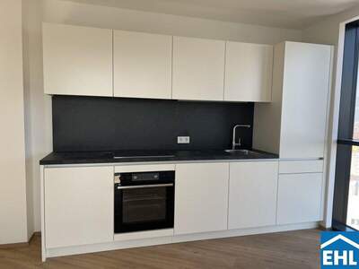 Terrassenwohnung mieten in 4020 Linz (Bild 2)