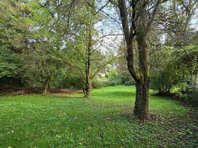 Grundstück kaufen in 4060 Leonding