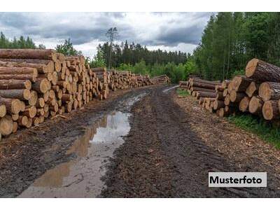 Grundstück kaufen in 6380 St. Johann (Bild 1)