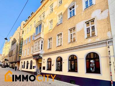 Gastronomie und Wohnung kaufen in 1060 Wien (Bild 3)