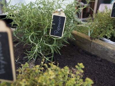 Apartment provisionsfrei mieten in 8045 Steiermark