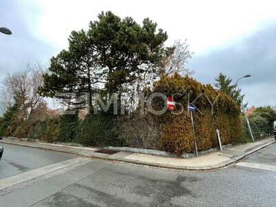 Einfamilienhaus kaufen in 1230 Wien (Bild 5)