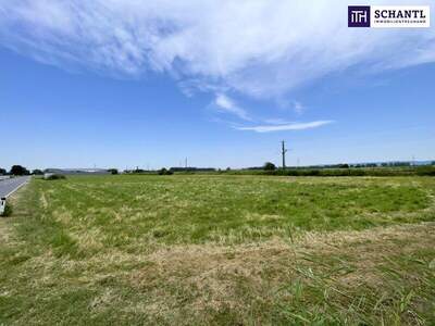 Grundstück kaufen in 2441 Mitterndorf (Bild 1)