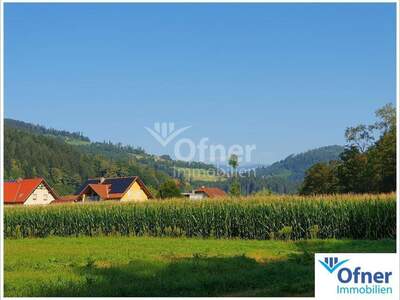 Gewerbeobjekt kaufen in 8572 Bärnbach